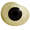 Mouth blown Mannequin Human or Doll eyes with prosthetic shells without veins. Ideal for Film and TV use. Mouth blown Mannequin Human or Doll eyes with prosthetic shells without veins. Ideal for Film and TV use.