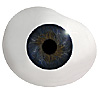 Mouth blown Mannequin Human or Doll eyes with prosthetic shells without veins. Ideal for Film and TV use. Mouth blown Mannequin Human or Doll eyes with prosthetic shells without veins. Ideal for Film and TV use.