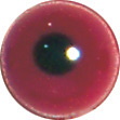 Red Coot/Moorhen eyes. This revolution in bird eye technology was created by award winning taxidermist Erling Morch. Created in crystal clear acrylic  this natural looking eye has an accurately blended iris and a beautifully feathered pupil set at the correct depth to give the most natural all round look.