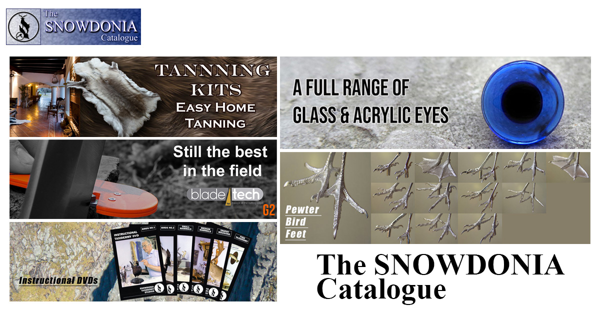 The Snowdonia Catalogue Taxidermy Supplies Taxidermy and Tanning Supplies