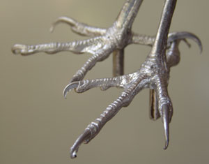 LAST CHANCE TO BUY - LIMITED STOCK - With a tarsus measurement of approximately 40mm these feet can be used for a variety of birds including Hawks and Falcons